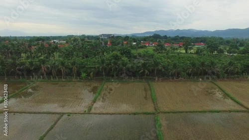 Rice fields that have not yet grown rice, only have mud