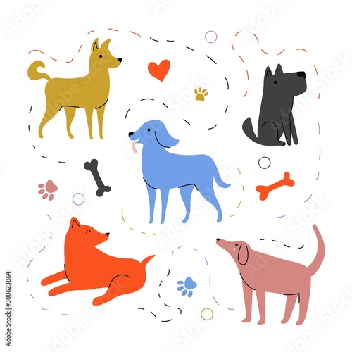 vector illustration with dog walking party, paws and bones