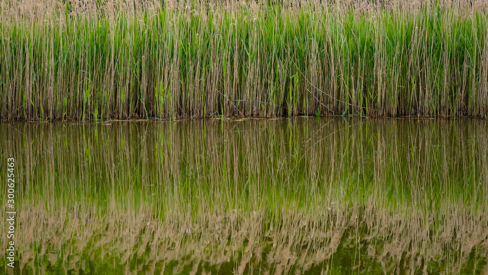 Spiegelung auf Wasseroberfläche