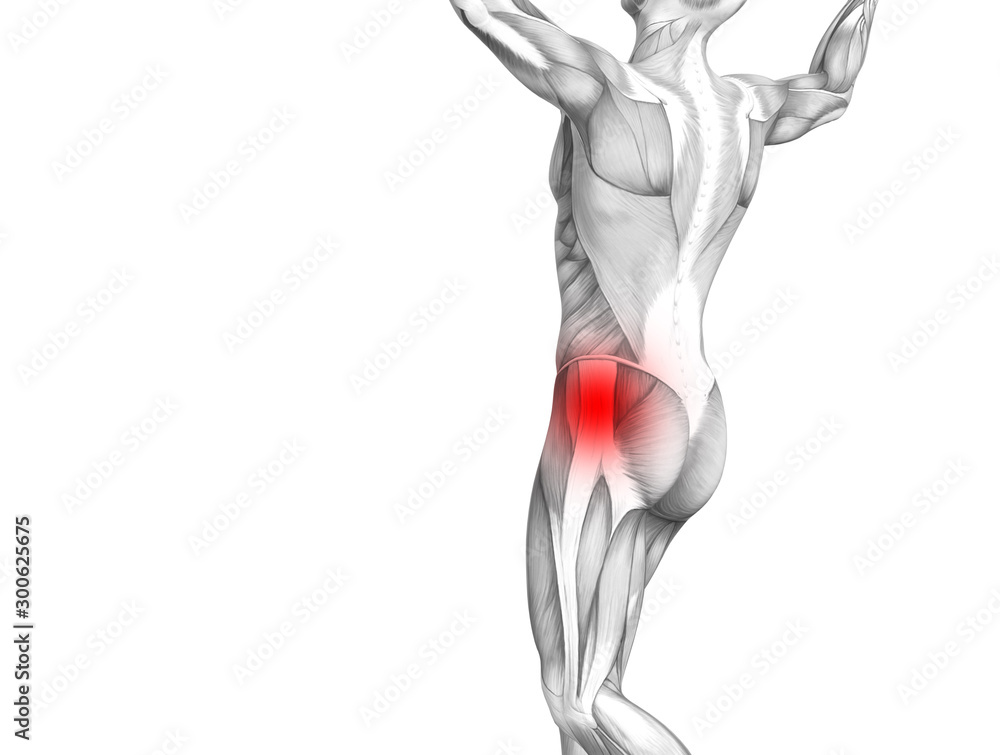 Conceptual hip human anatomy with red hot spot inflammation articular joint pain for leg health care therapy or sport muscle concepts. 3D illustration man arthritis or bone sore osteoporosis disease Conceptual hip human anatomy with red hot spot inflammation articular joint pain for leg health care therapy or sport muscle concepts. 3D illustration man arthritis or bone sore osteoporosis disease