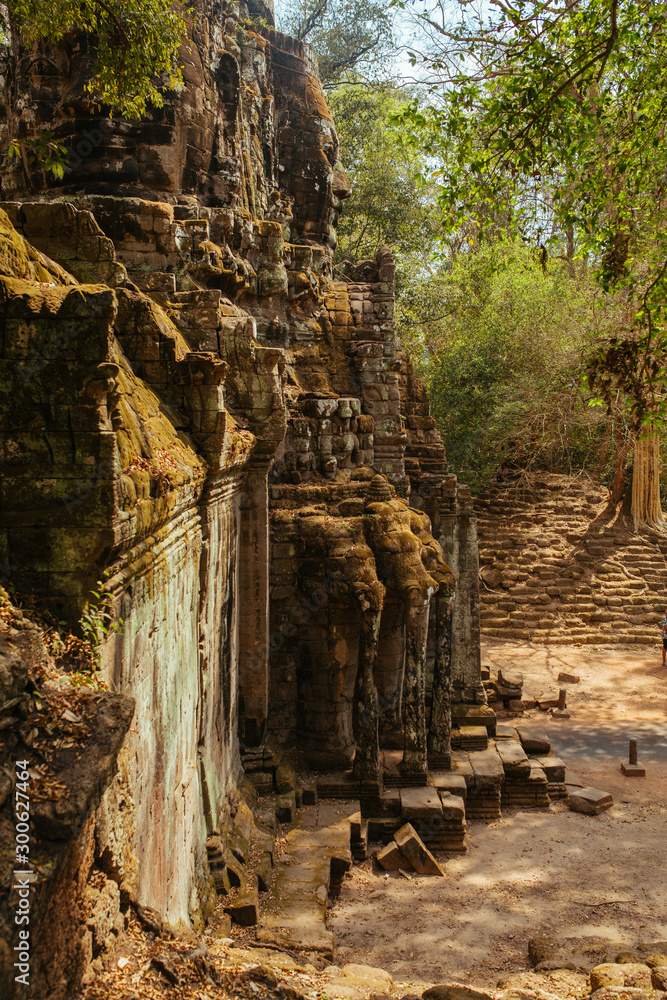 Trees grow through stones in Angkor Wat Temple in Cambodia