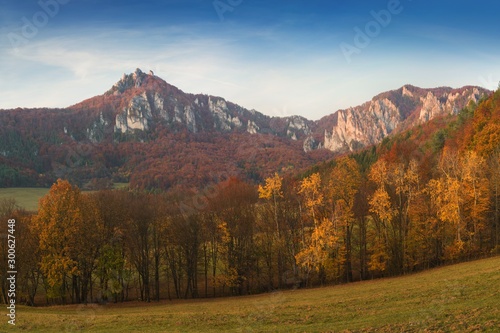 Autumn mountain forest rocks view. Mountain rocks in autumn forest. Autumn forest trees in rocks. Mountain forest in autumn landscape. Explore the beauty of world Colorful landscape background concept © Michal