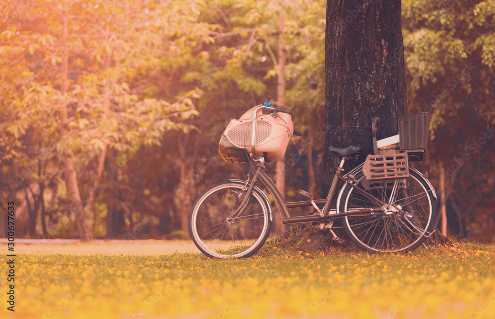 Bicycle in the park under the tree on the ground with grass and yellow flowers and