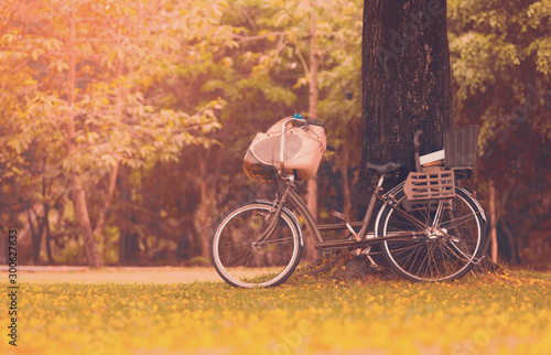 Bicycle in the park under the tree on the ground with grass and yellow flowers and