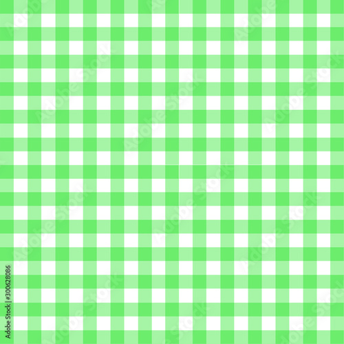 Gingham In Green