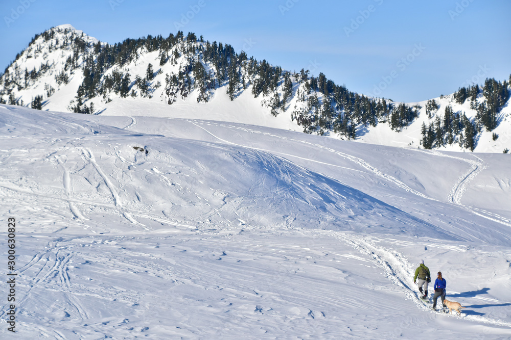 Snowshoeing in mount Baker in Washington state