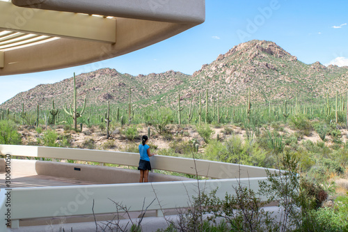 Young girl gazing at saguaro forest from elevated overlook at Saguaro National Park Visitor Center - Sonoran Desert, Arizona, USA