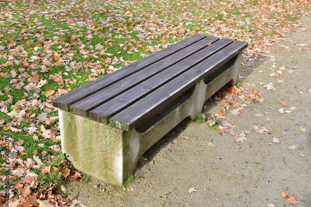Bench made of wood and concrete on the sidewalk in the autumn park Bench made of wood and concrete on the sidewalk in the autumn park