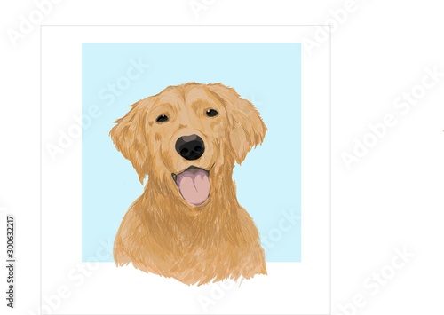 golden dog