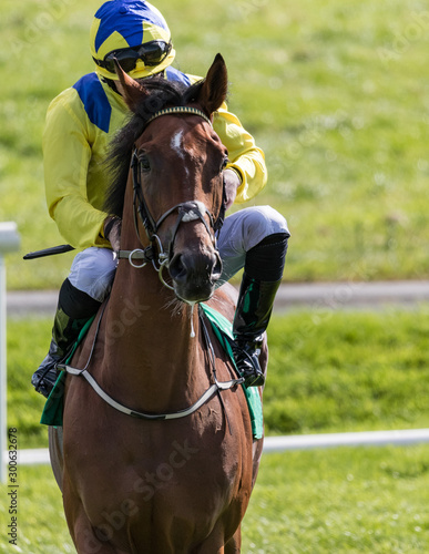 Close up on race horse and jockey on the track © Gabriel Cassan