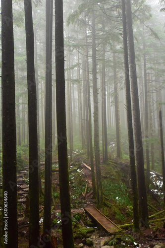 Norvan falls hike in north Vancouver