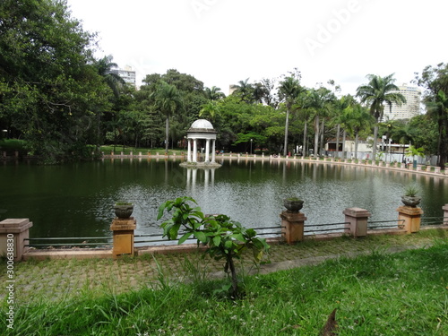 andscape of the municipal park of belo horizonte - Minas Gerais - Brazil