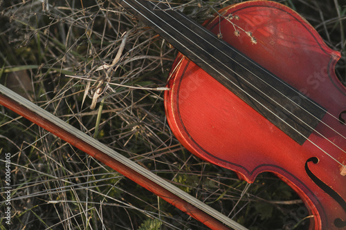 red violin with a bow next to it lies on dry autumn grass top view, strings musical instrument background, concept classical music and art