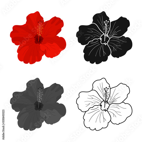 Vector illustration of hibiscus and rose symbol. Web element of hibiscus and flower vector icon for stock.