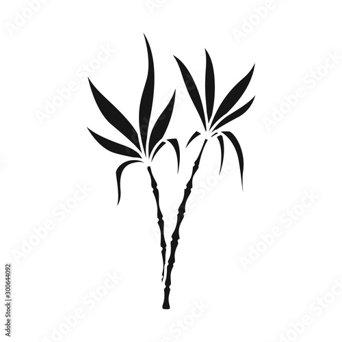 Isolated object of vegetable and sugar icon. Web element of vegetable and cane stock vector illustration.