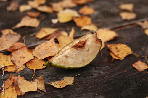 A slice of weathered apple on an old wooden table surrounded by yellow foliage of birch.