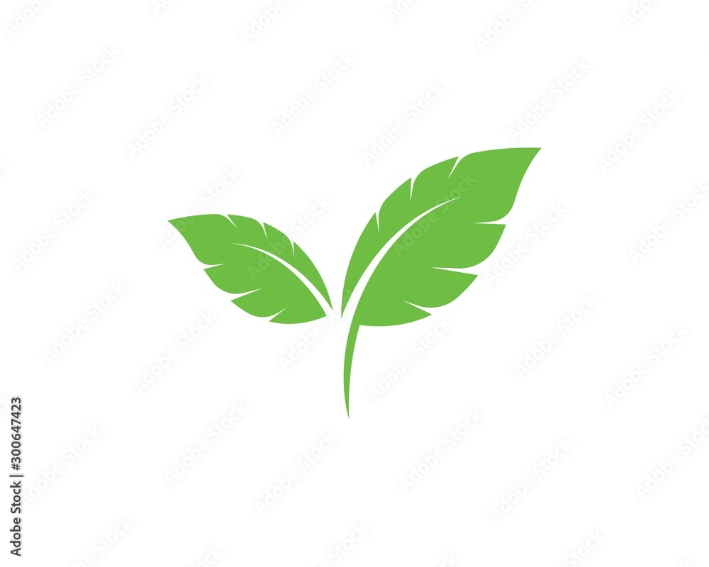 Fototapeta Logos of green leaf ecology nature element vector