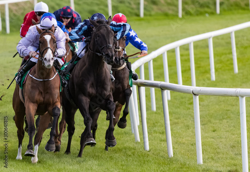 Horse racing action, race horses and jockeys competing for position on the final turn towards the finish line