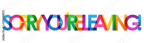 SORRY YOU'RE LEAVING! rainbow vector typography banner