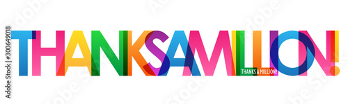 THANKS A MILLION! rainbow vector typography banner