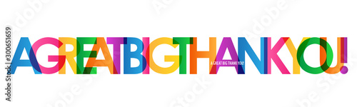 A GREAT BIG THANK YOU! rainbow vector typography banner