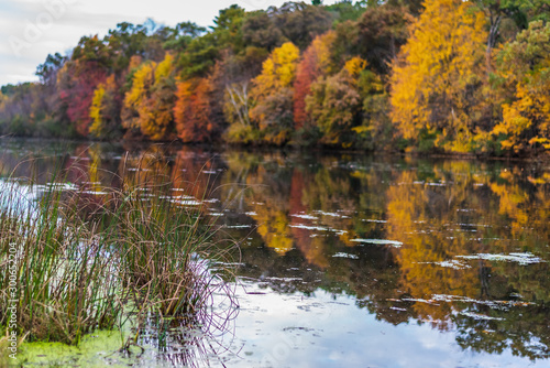 fall colors reflected in lake