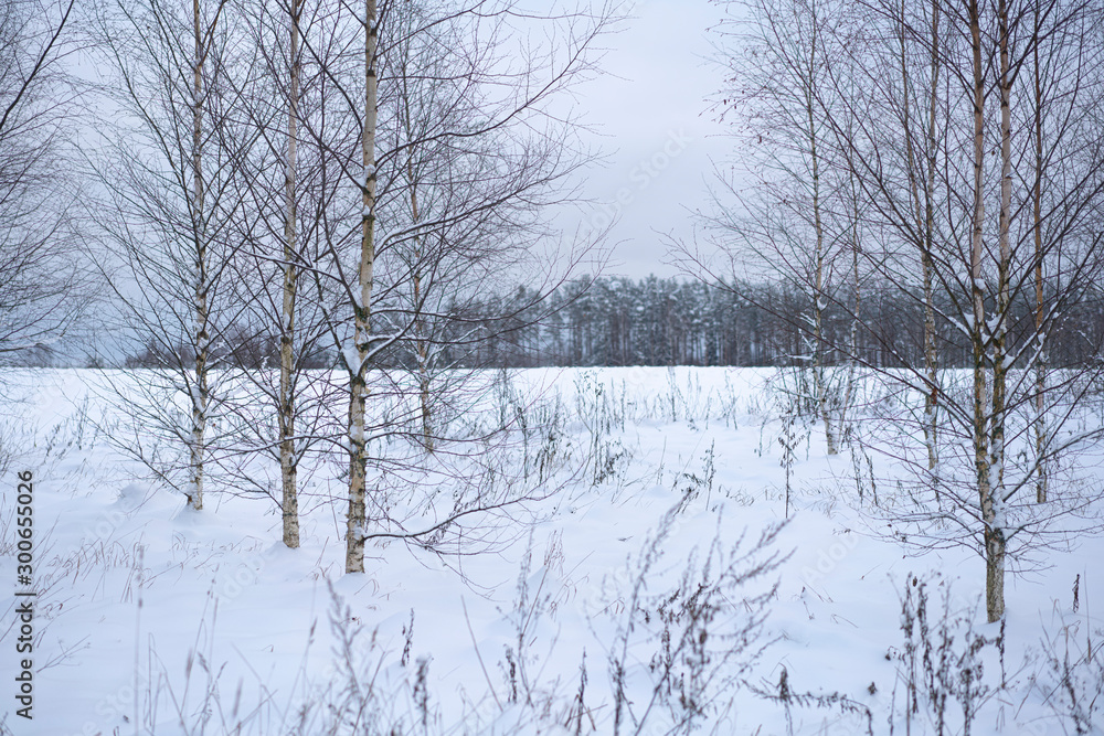 Winter scene 25 Winter scene 25