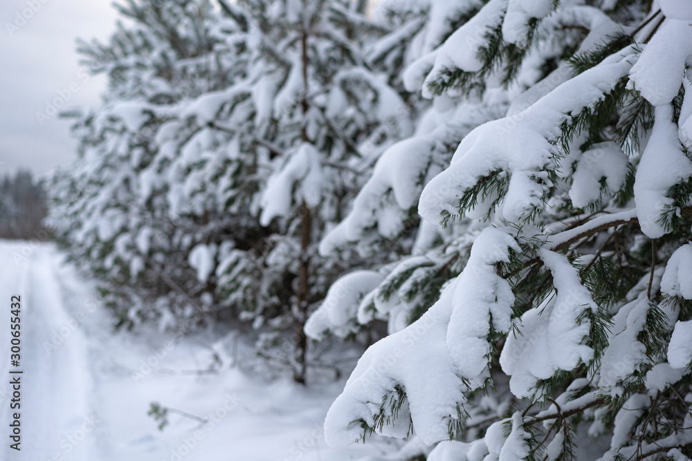 Winter scene 19 Winter scene 19