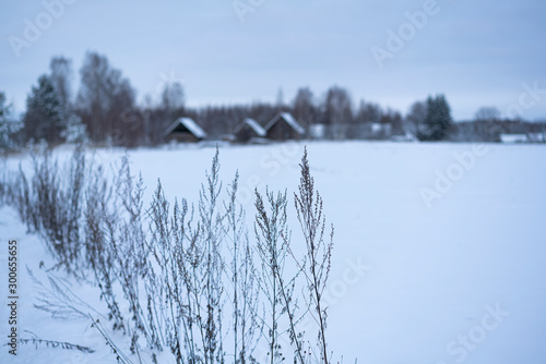Winter scene 14 © MikkMait