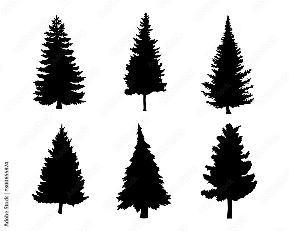 Obraz premium Isolated tree on the white background.Tree silhouettes. Tree hand drawn.Vector EPS 10.