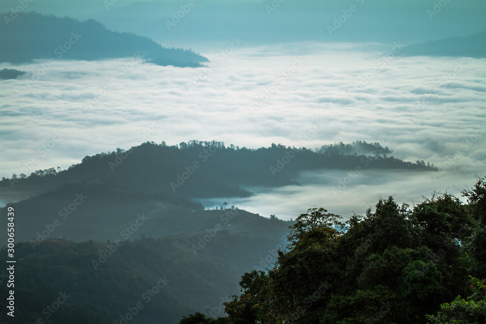 sea mist morning in mountain