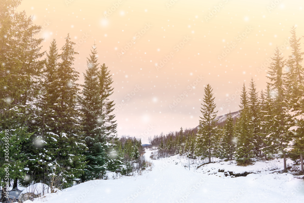 Fototapeta premium Golden sky above winter landscape. Road with snow. Snowfall over spruce forest. Gleaming snowflakes. Warm orange, green colors. Tromso, Norway.