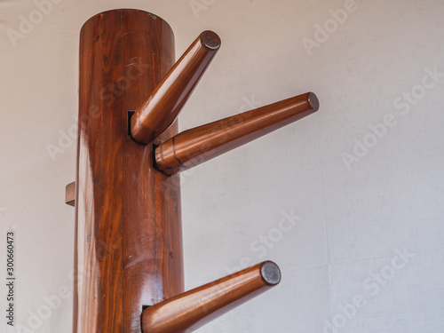 standing wooden dummy from wing chun 