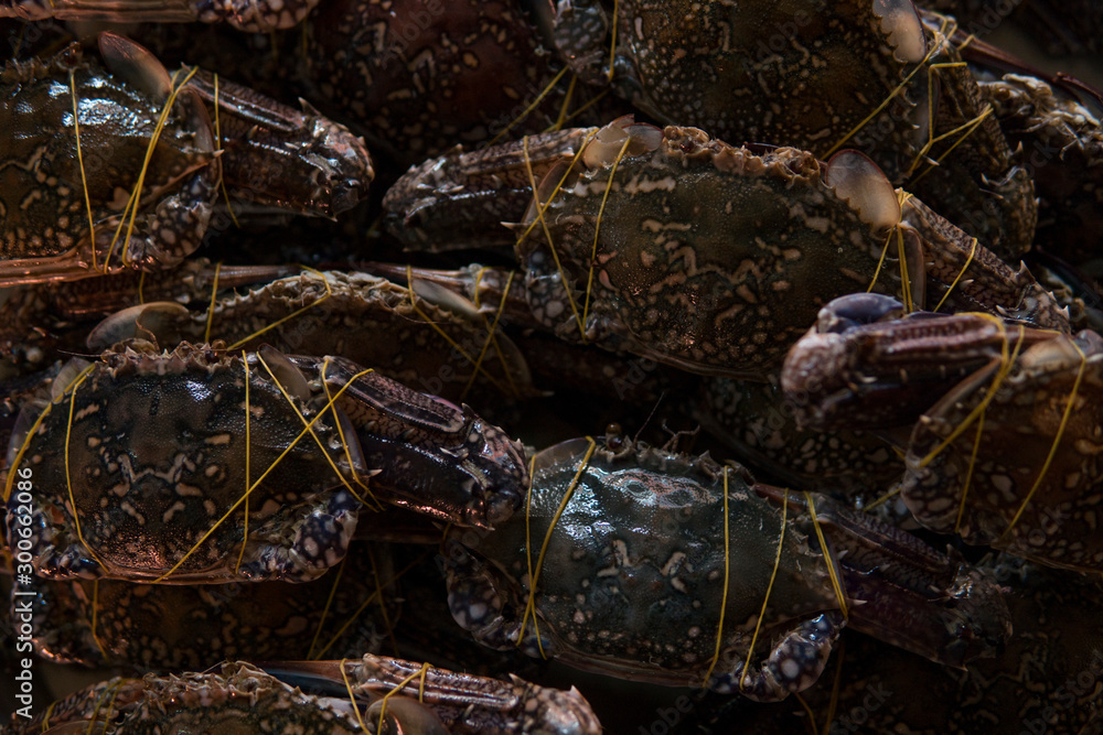 Close up of fresh crab at market.