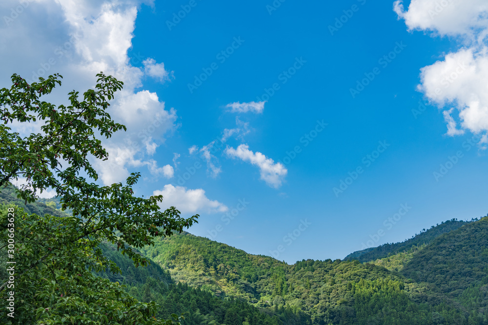 夏の青空とのどかな田園風景【山口県】 夏の青空とのどかな田園風景【山口県】