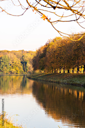 Fototapeta Naklejka Na Ścianę i Meble -  Herbstallee Spiegelung im See