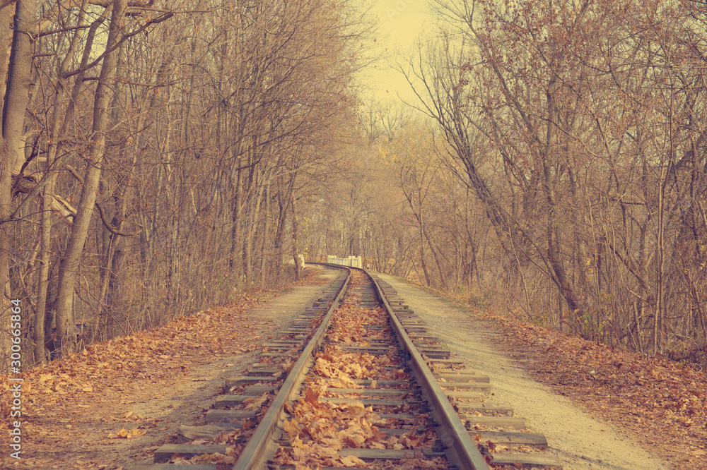 Autumn forest background, yellow leaves, railway
