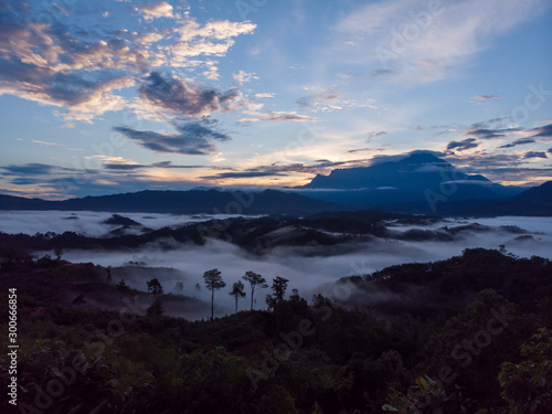 Rural landscape with dramatic sea of cloud during sunrise with Mount Kinabalu at Saba  Borneo