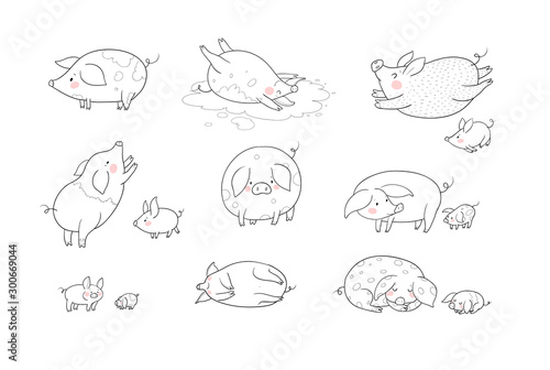Set with cute cartoon pigs. Farm animals. Pig in different poses