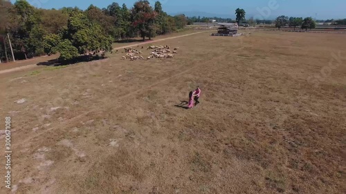 Lovers holding hands running around in the meadow lamb