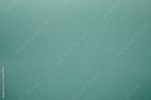 Green paper background with texture. Backdrop and Mockup