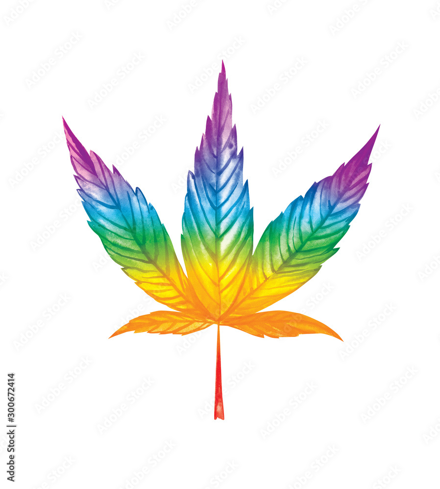 Watercolor illustration. Rainbow leaf of cannabis. Watercolor illustration. Rainbow leaf of cannabis.