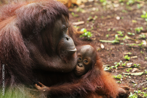 Mother and son photo