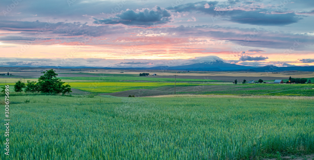 Western USA Countryside Sunset: Rolling fields and expansive farmland with a snow-capped mountain in the distance at sunset - Washington, USA