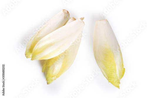 Fényképezés endive isolated on white background,chicory