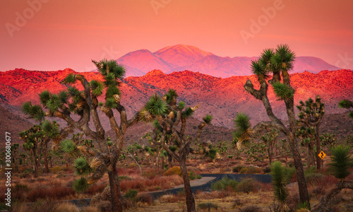 Fotografie Joshua Tree National Park