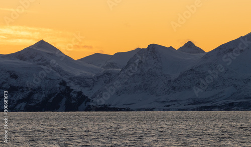 Arctic Fjord Landscape