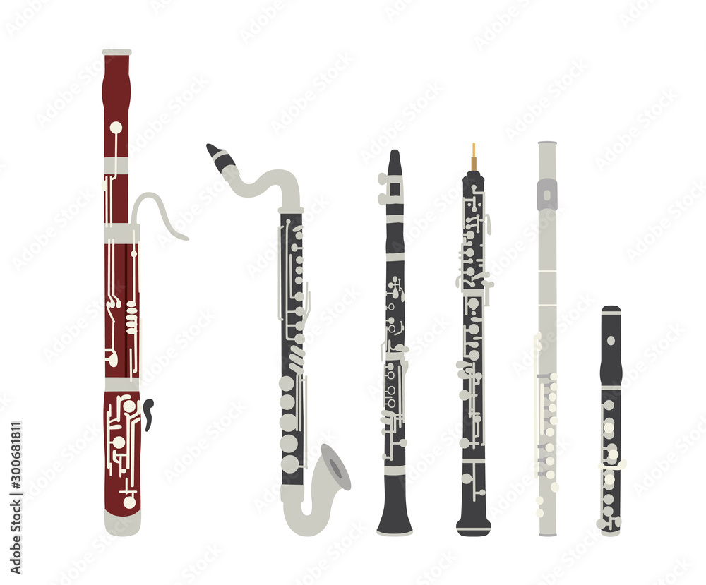 Obraz premium Set of vector modern flat design woodwind musical instruments
