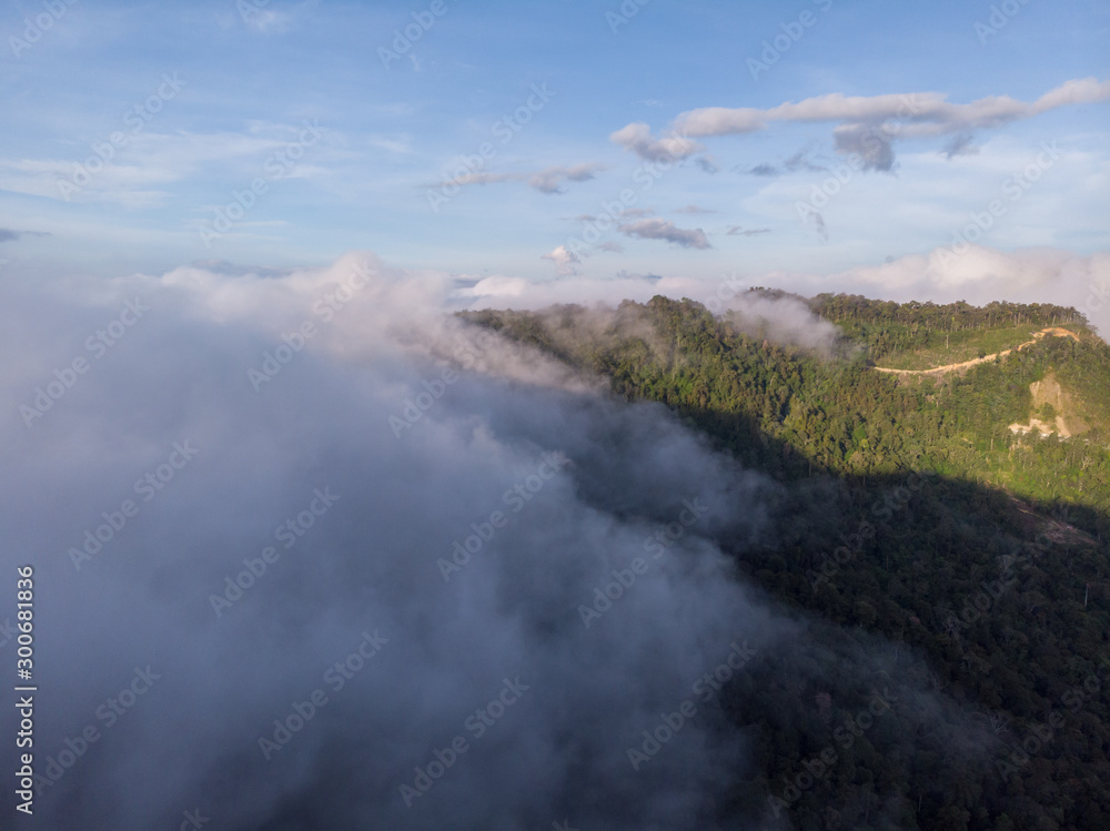Amazing drone footage of beautiful nature deep rainforest jungle on Kundasang, Sabah, Malaysia.- Travel Concept