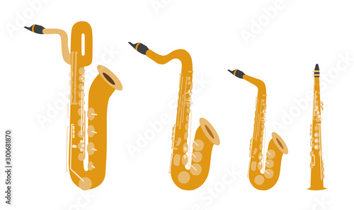 Set of vector modern flat design woodwind musical instruments